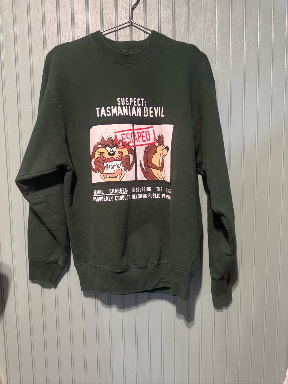 Warner Bros. Tasmanian Devil Mugshot Crewneck - Dark Green